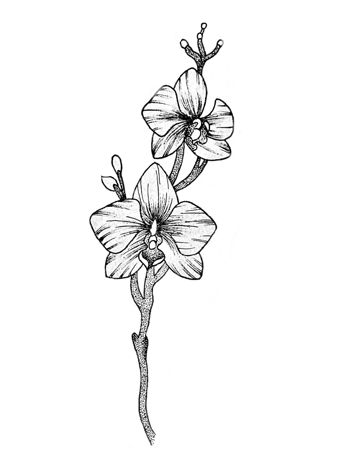 A3 Unframed Art Print - Floral