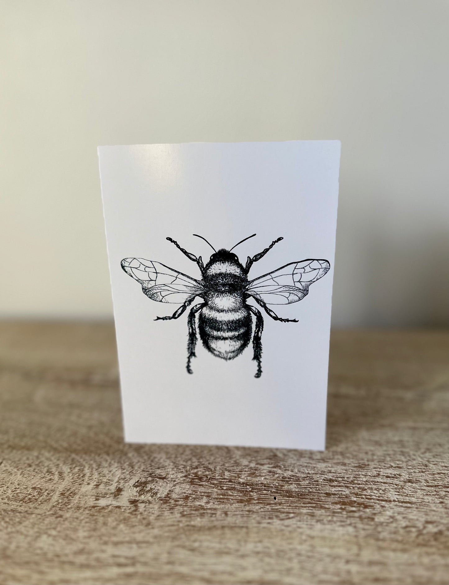 Greeting Cards - Insects & Animals