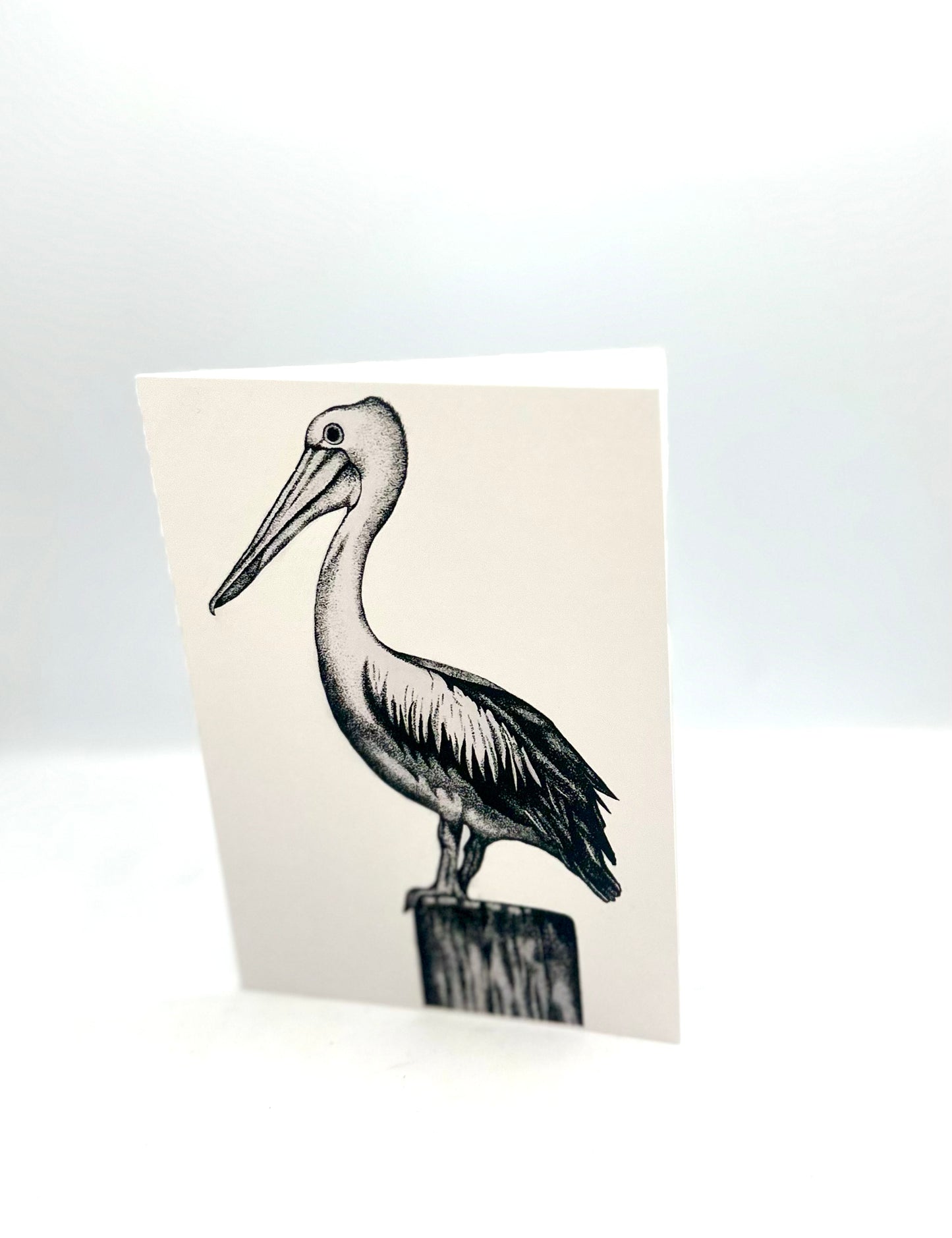 Greeting Cards - Insects & Animals