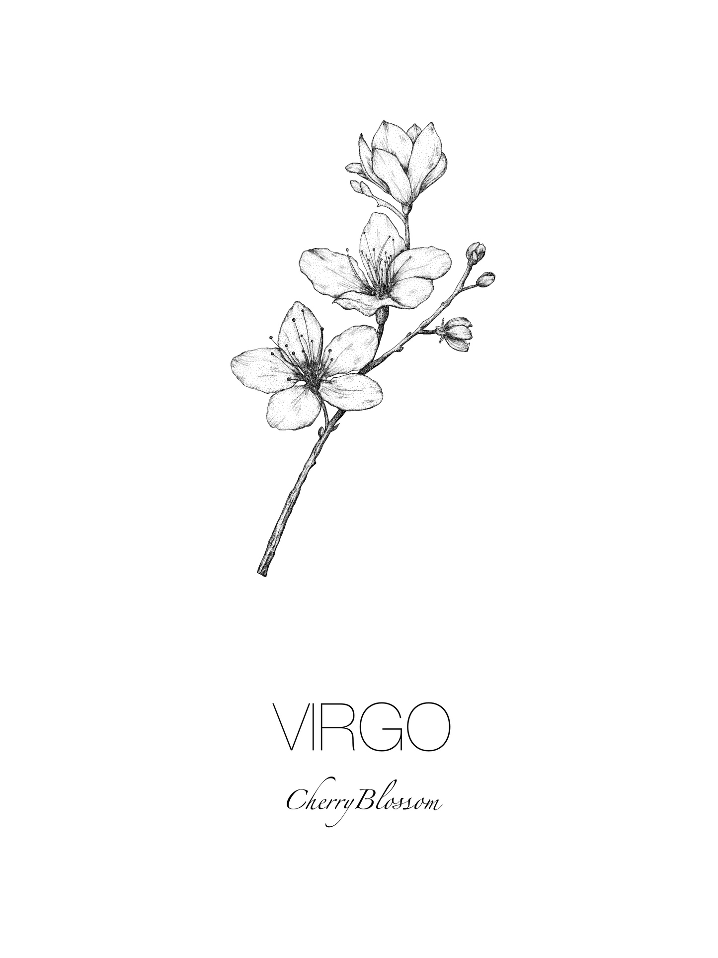 A3 Unframed Art Print - Star Sign Flowers