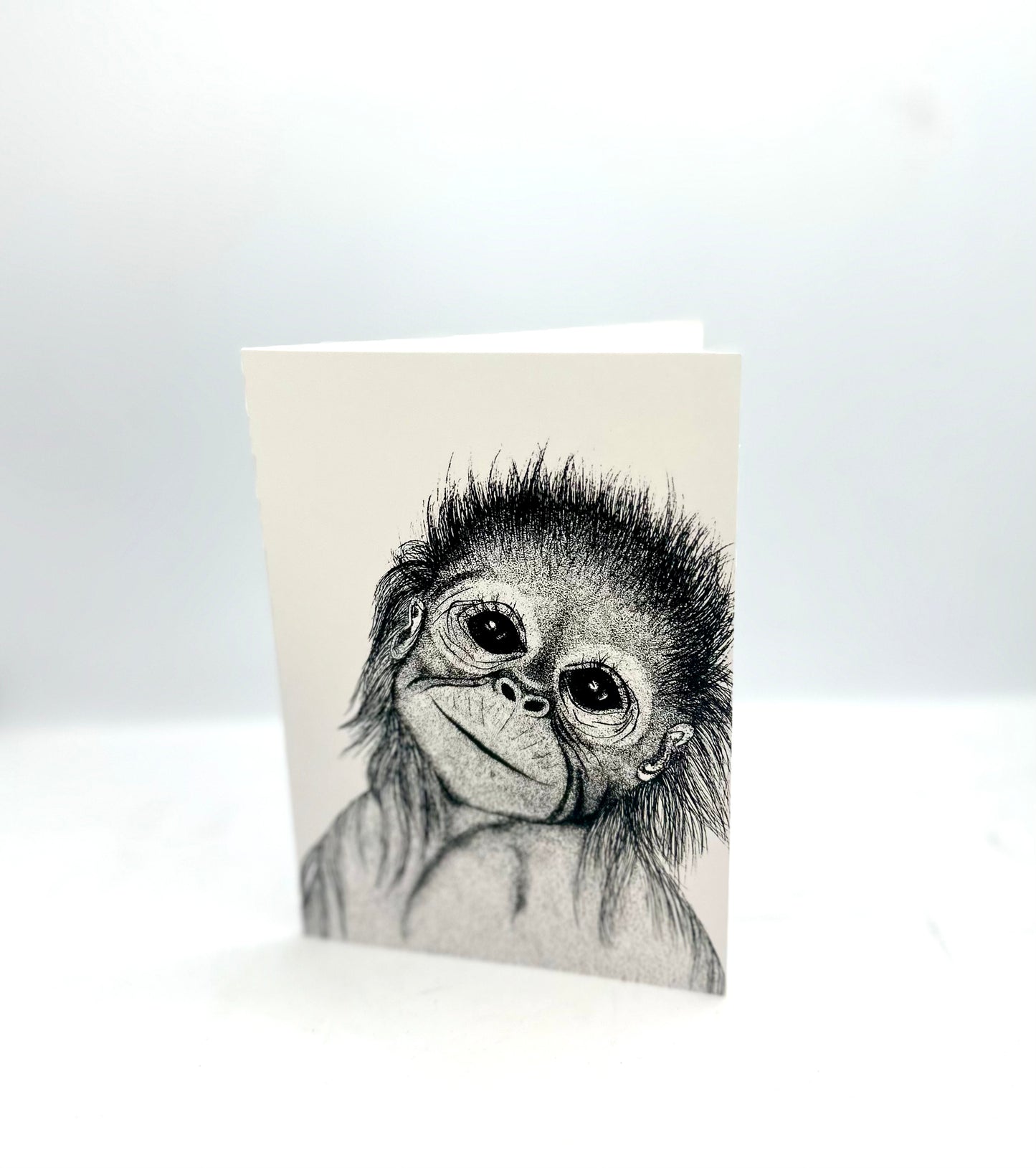 Greeting Cards - Insects & Animals