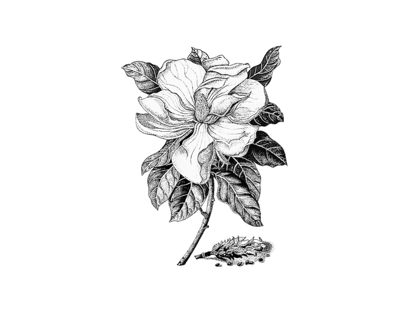 A3 Unframed Art Print - Floral