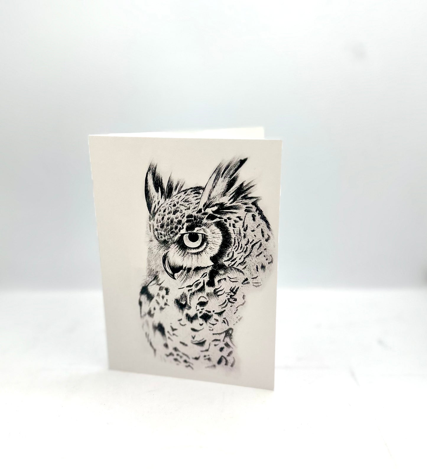 Greeting Cards - Insects & Animals