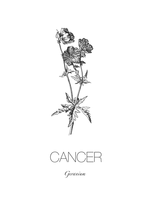 A4 Unframed Art Print - Star Sign Flowers