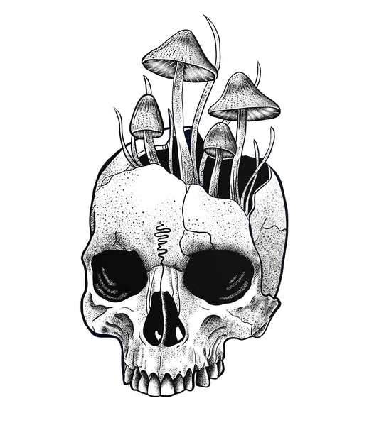 A3 Unframed Art Print - Various