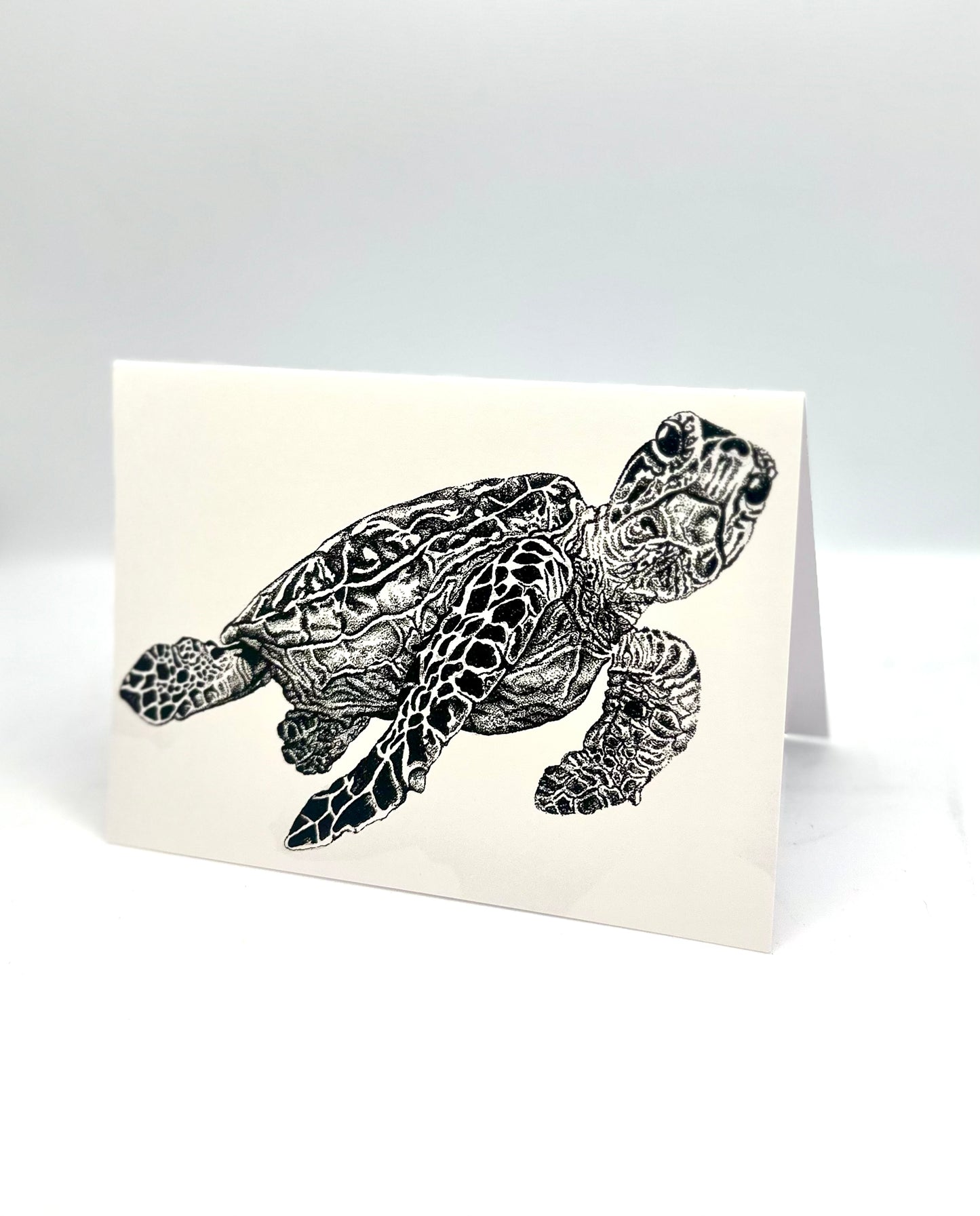Greeting Cards - Marine