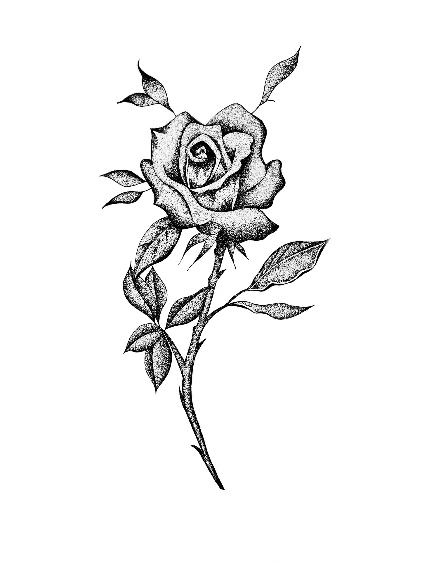 A3 Unframed Art Print - Floral