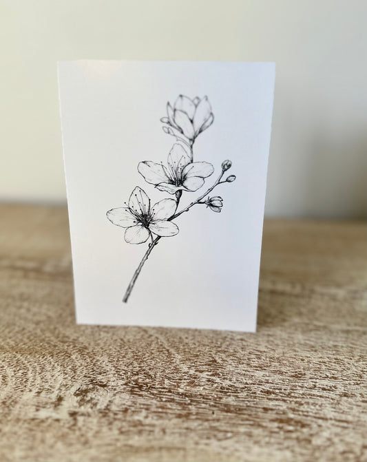 Greeting Cards - Floral