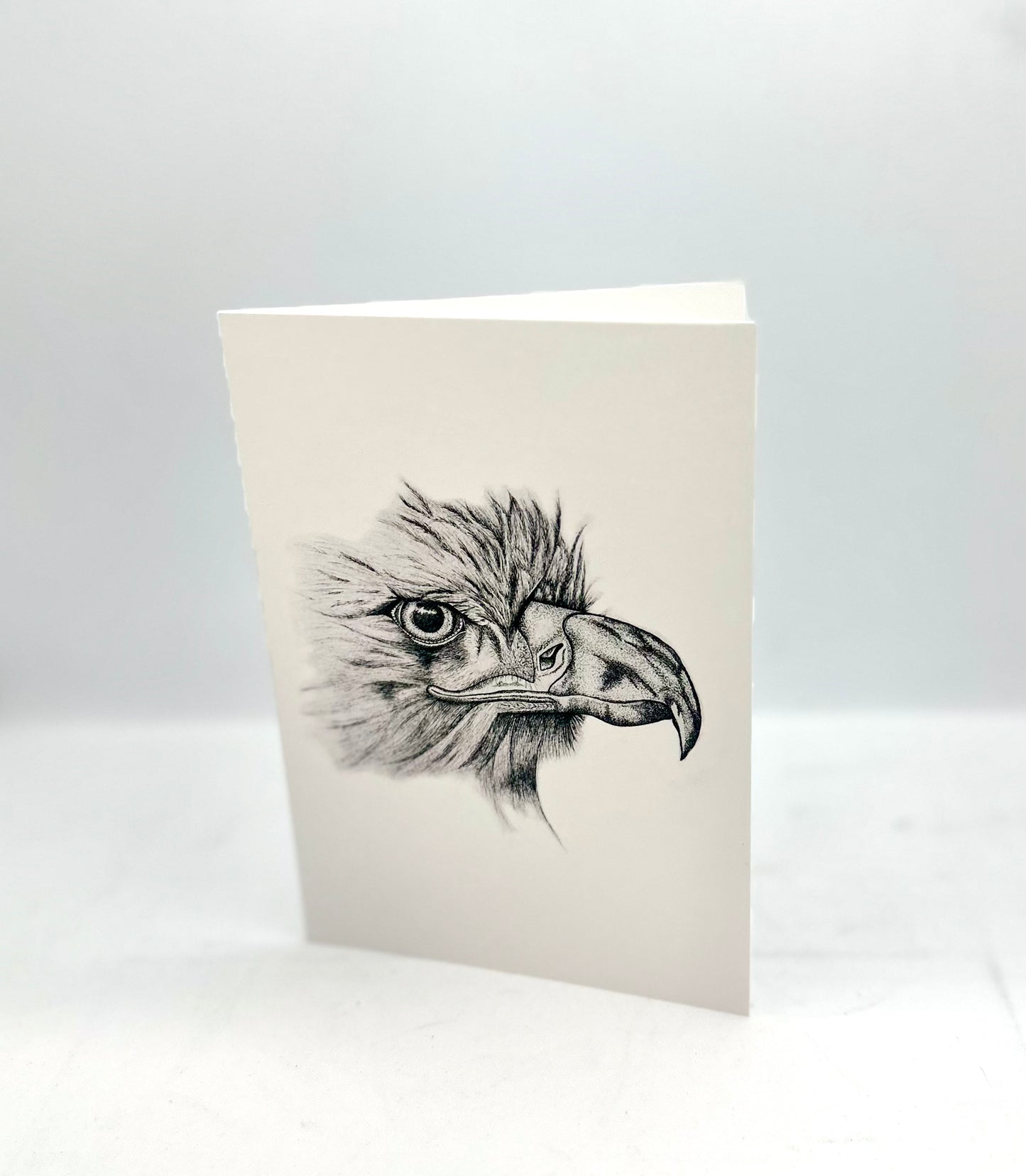 Greeting Cards - Insects & Animals