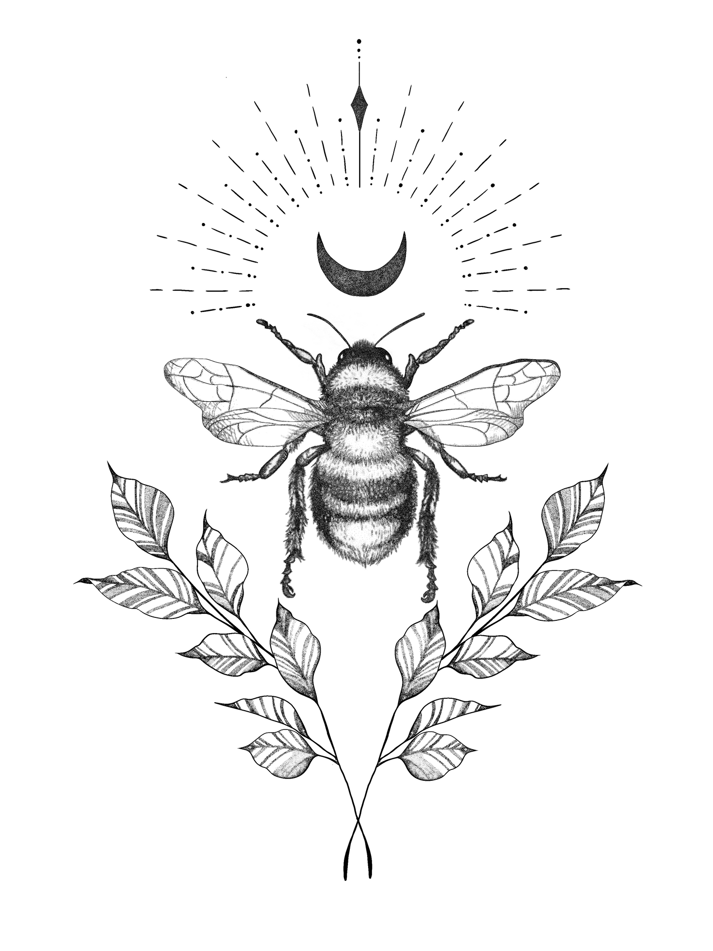 A3 Unframed Art Print - Insects & Animals