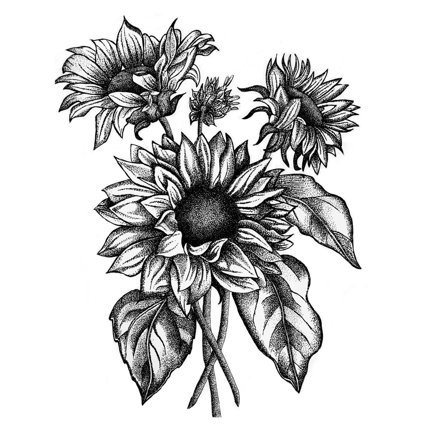 A3 Unframed Art Print - Floral