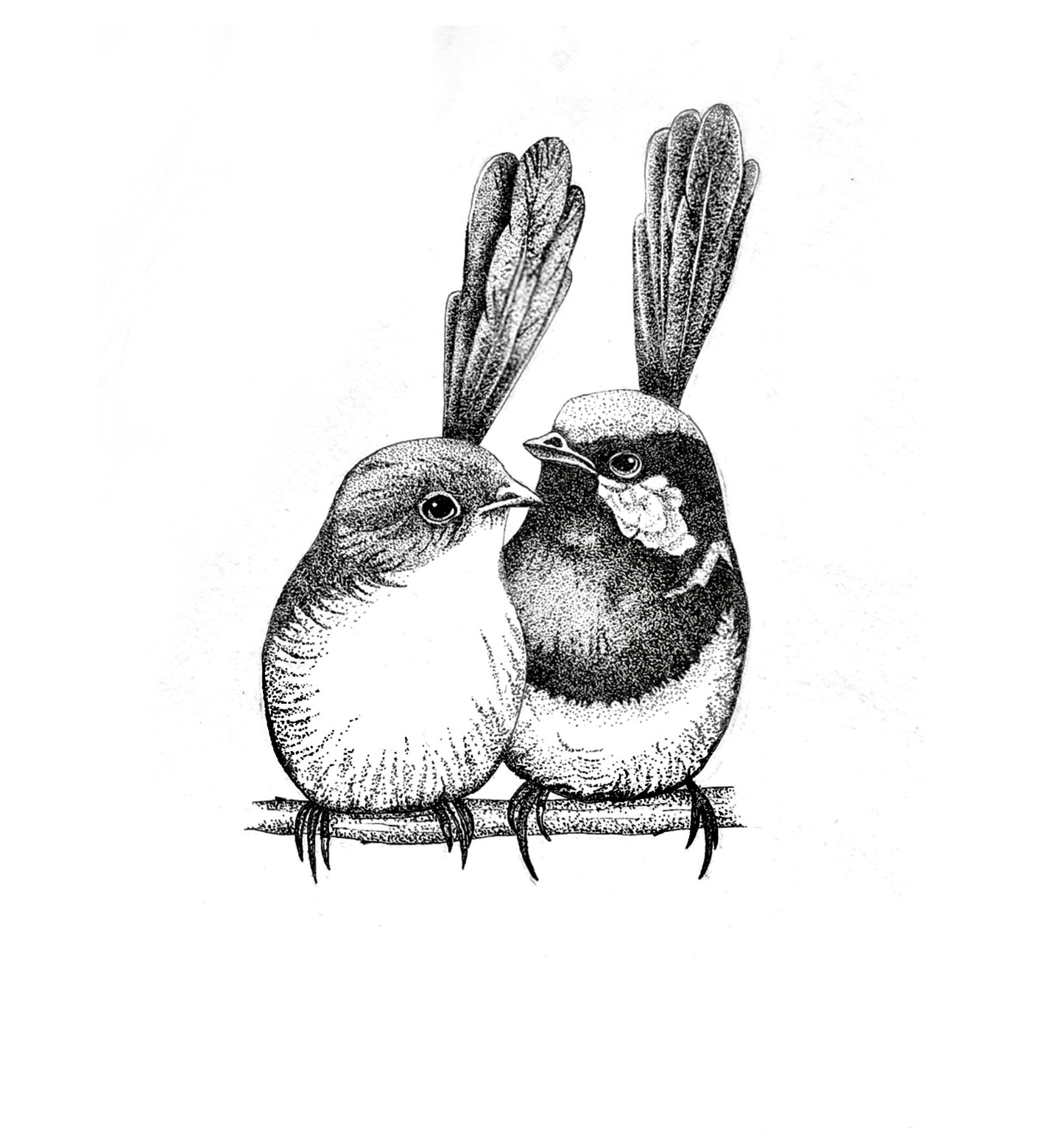 A3 Unframed Art Print - Insects & Animals