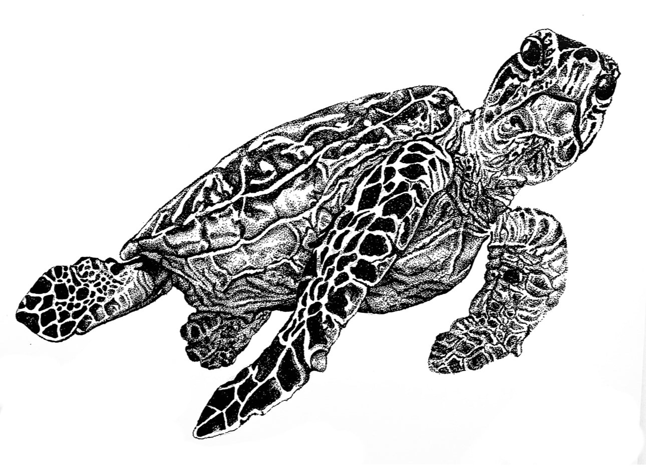 A3 Unframed Art Print - Insects & Animals