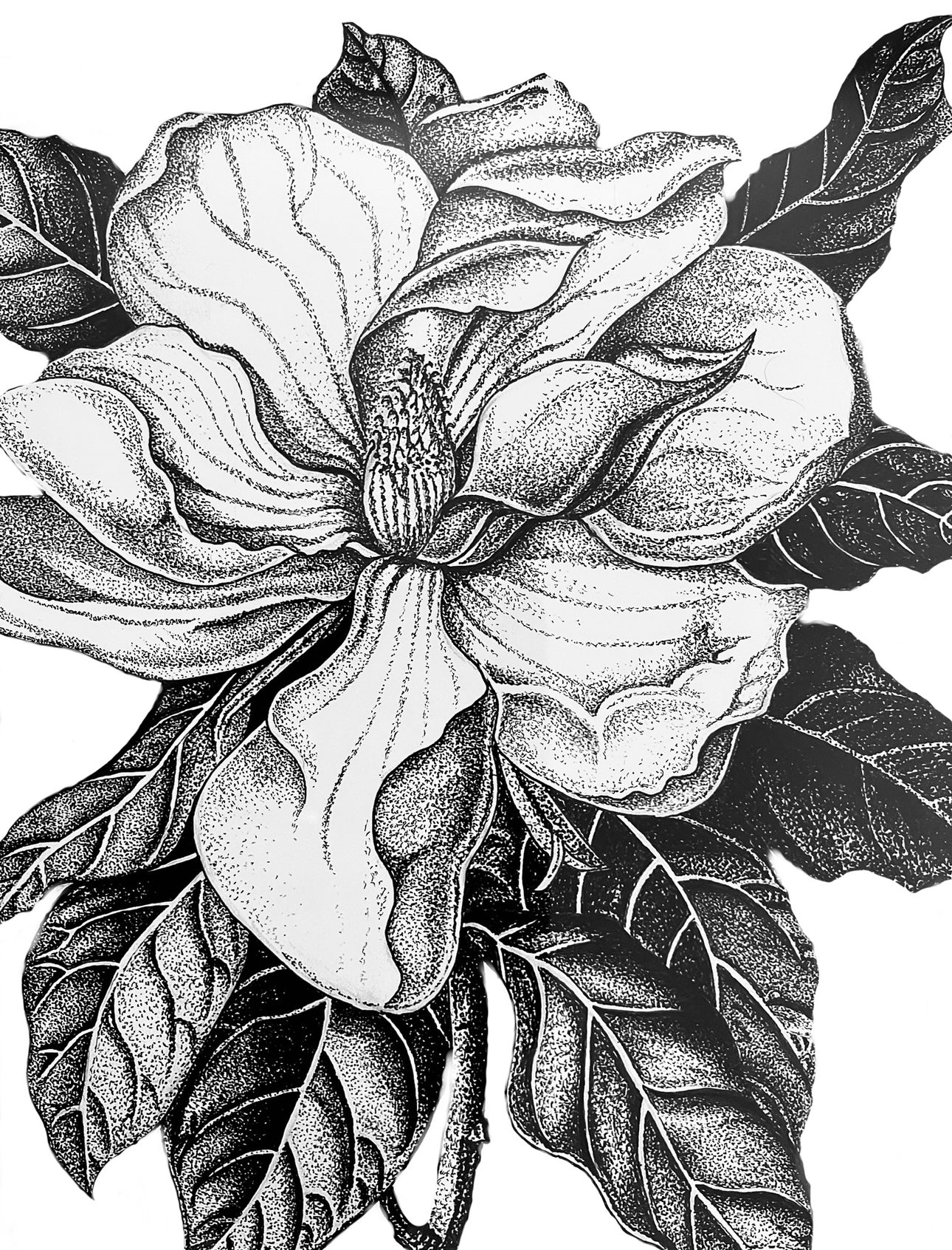 A3 Unframed Art Print - Floral