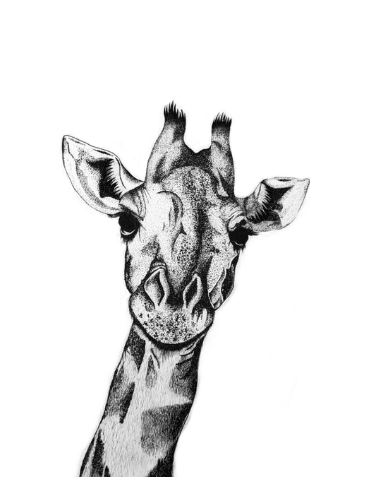 A3 Unframed Art Print - Insects & Animals